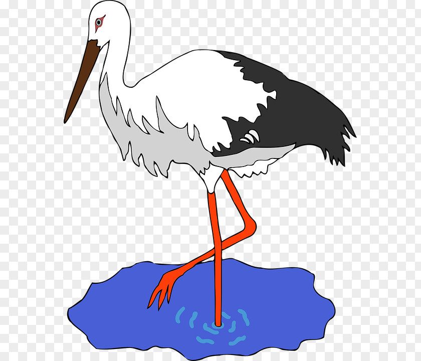 Cartoon Crane White Stork Bird Clip Art PNG