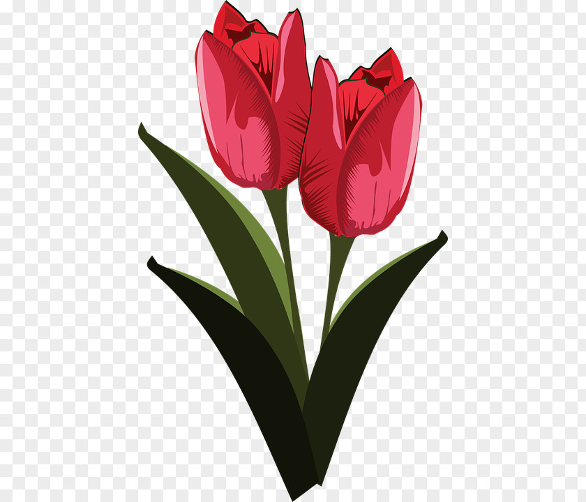 Flower Clip Art PNG