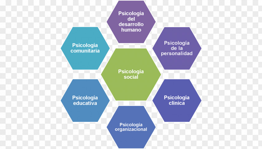 Hofstede's Cultural Dimensions Theory Culture Power Distance Cross-cultural Communication PNG