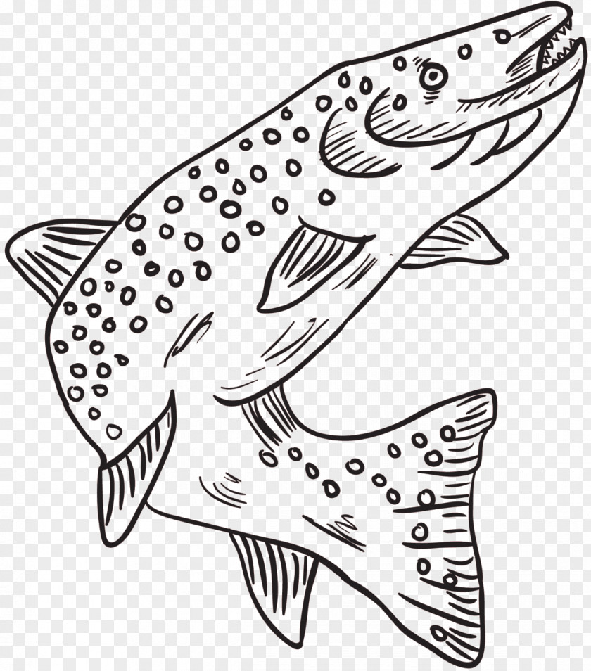 M Clip Art Line Fish Shoe Black & White PNG