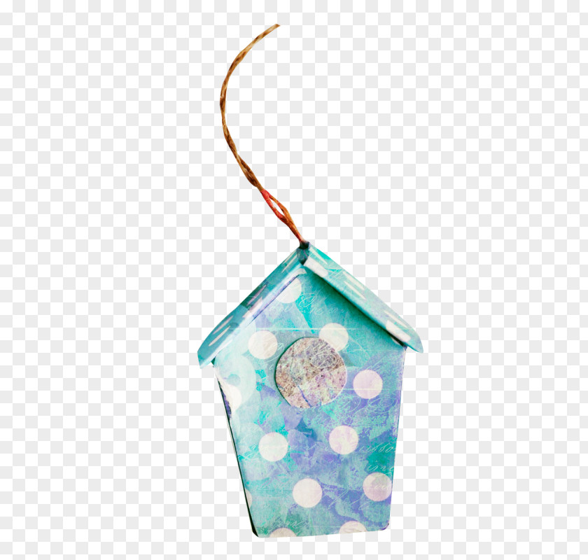 Ornament Aqua Library Cartoon PNG