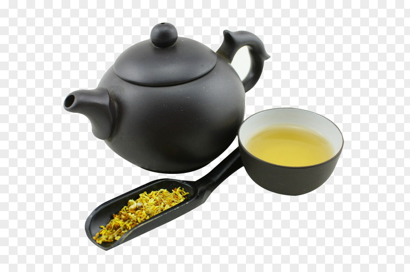 Qing Ya Guihua Tea Flowering Sweet Osmanthus Oolong Drinking PNG