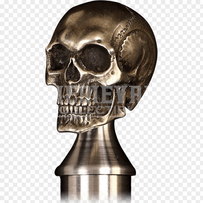 Skull Skeleton Metal Stock Photography Jaw PNG