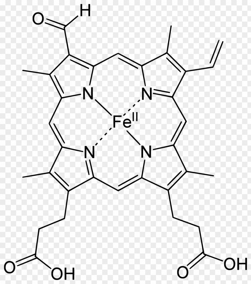 Blood Hemeprotein Porphyrin Chlorocruorin Hemoglobin PNG