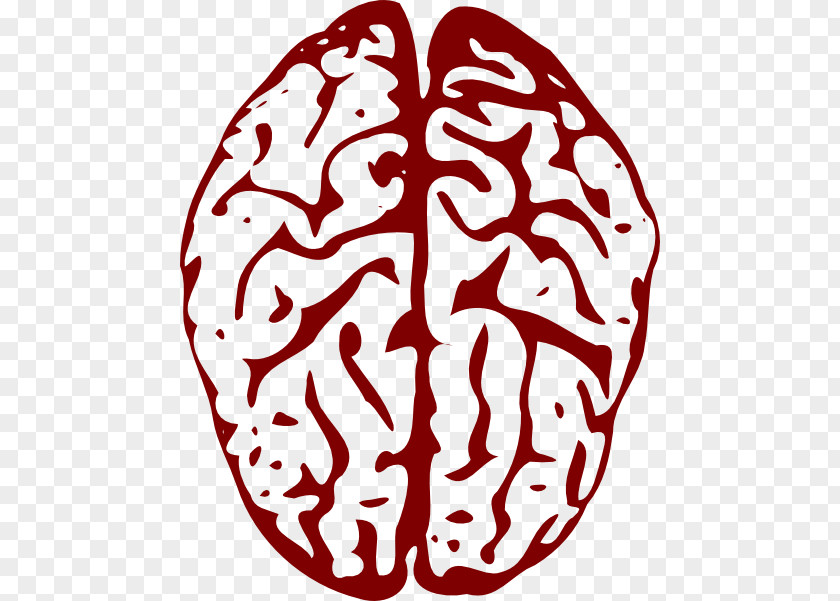 Brain Vector Dexter Morgan Royalty-free Clip Art PNG