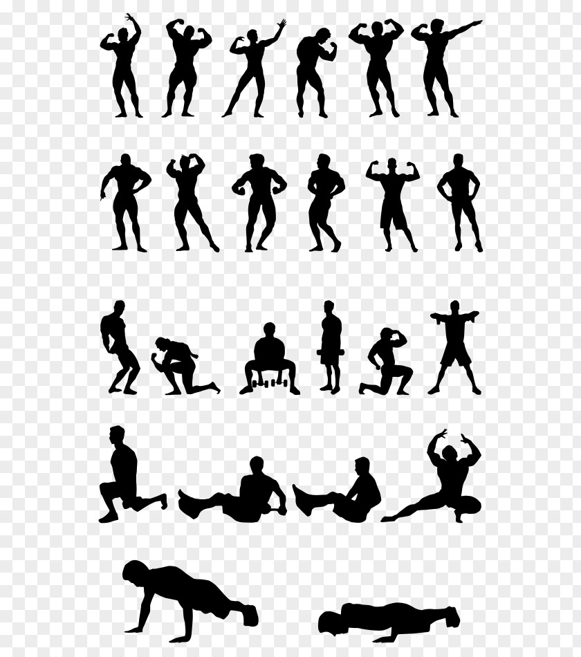 Fitness Physical Bodybuilding Computer File PNG