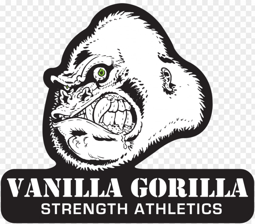 Gorilla Logo Training Carnivora Sport PNG