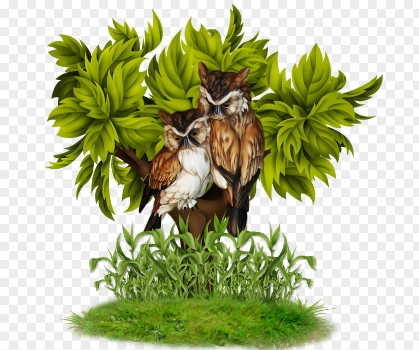 Owl On A Tree Animation Clip Art PNG