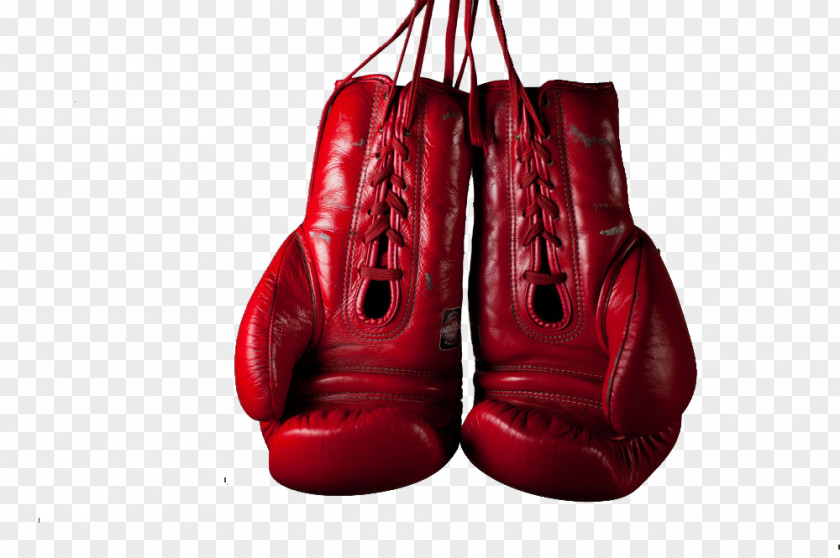 Red Boxing Gloves Glove Stock Photography Everlast PNG
