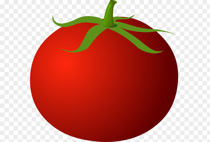 Tomato Vector Clip Art PNG