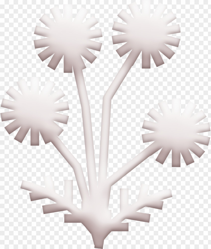 Flower Icon Herb Chamomile PNG
