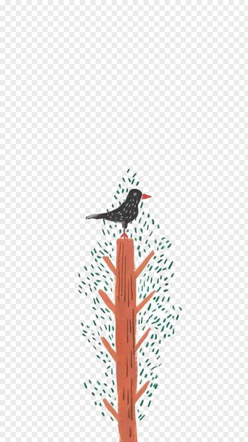 Green Bird Download Illustration PNG