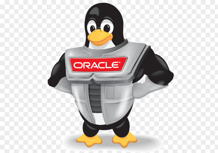 Linux Oracle Corporation VirtualBox Distribution PNG