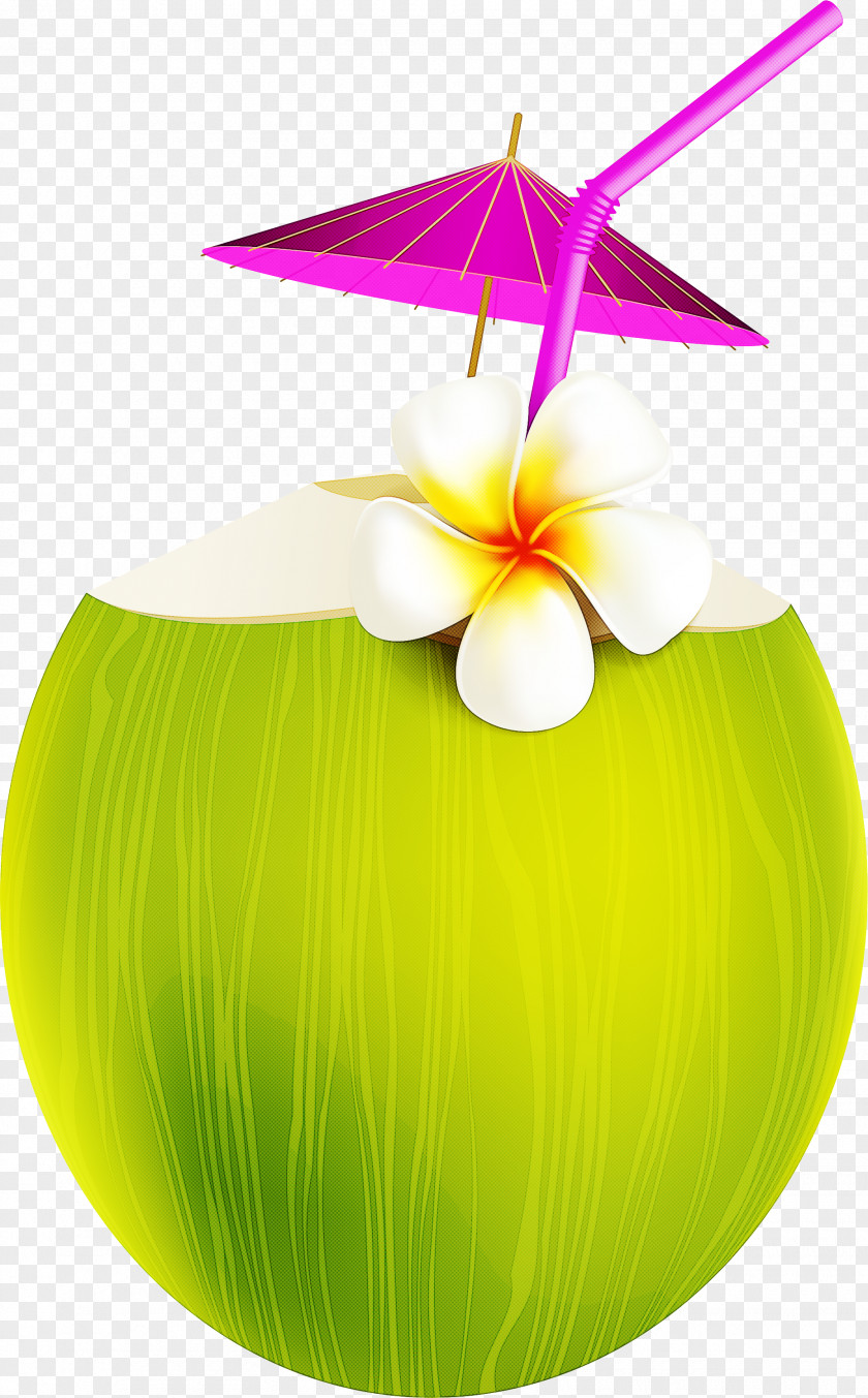 Easter Egg PNG