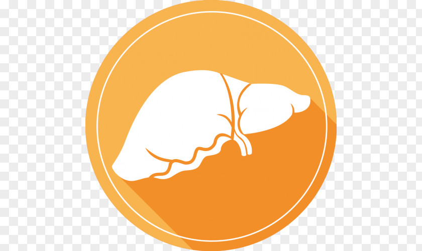 Health Drug Liver Care Therapy PNG