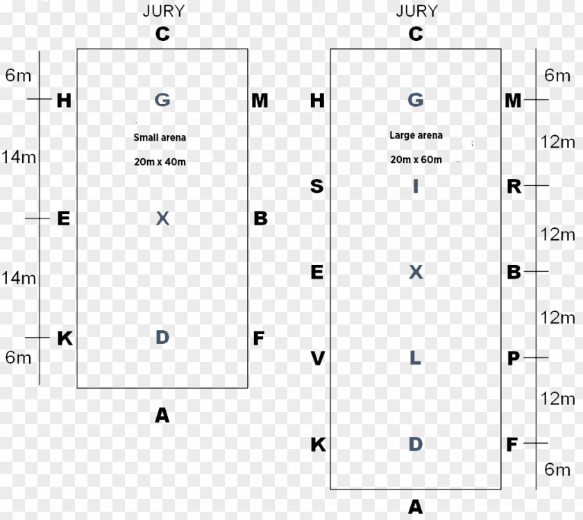 Jane Savoie's Dressage 101: The Ultimate Source Of Basics In A Language You Can Understand Equestrian Jízdárna Letter PNG