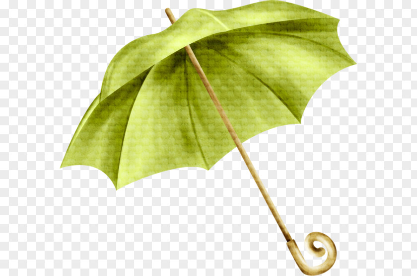 Pastoral Style Umbrella Green Rain PNG