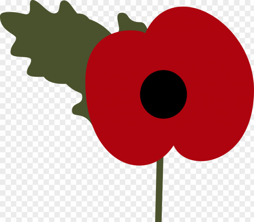 Poppy United Kingdom Armistice Day Remembrance Sunday PNG