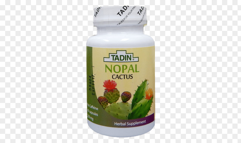 Tea Herbal El Nopal Aloe Vera PNG