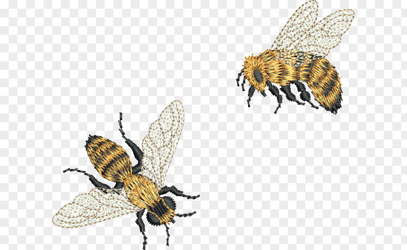 Embroidery Bee Machine Embroider Now Pattern PNG