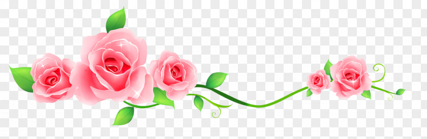 Flower Paper Garden Roses Borders And Frames PNG