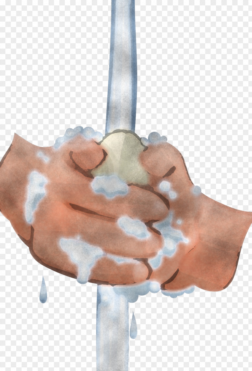 Hand Finger Joint Muscle Thumb PNG