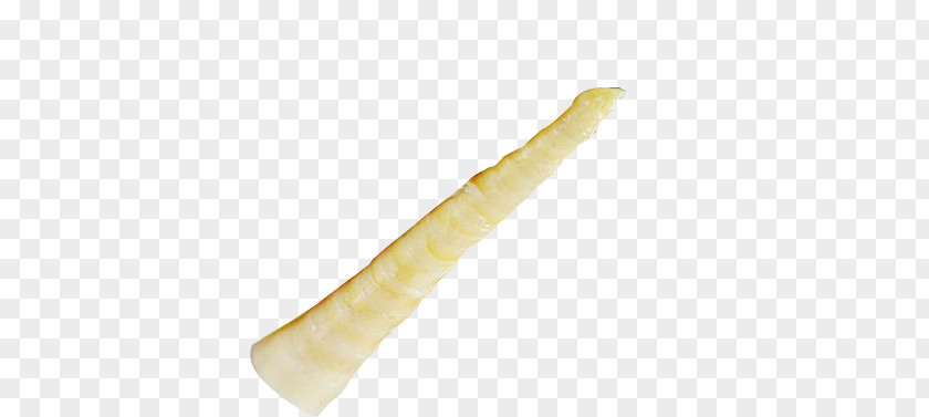 A High-definition Image Of Fresh Bamboo Shoots Finger PNG