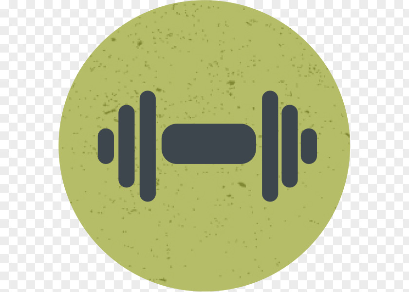 Dumbbell Fitness Centre Weight Training Personal Trainer PNG