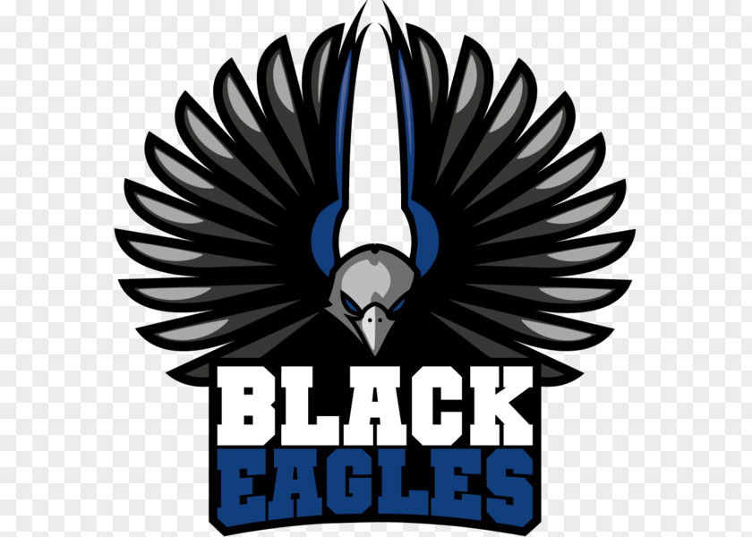 Eagle Black Eagles Aerobatic Team Logo Golden PNG