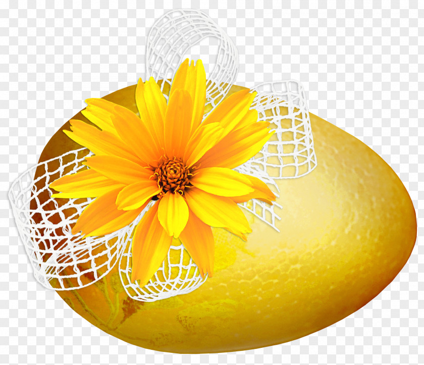 Easter Egg Holiday Resurrection Of Jesus Christmas PNG