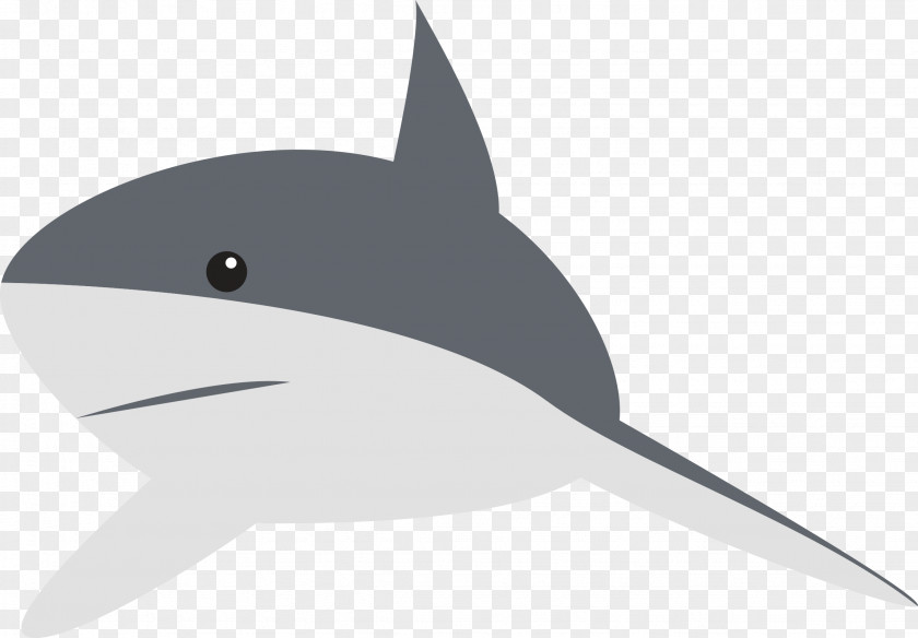 Sharks Shark Animation Clip Art PNG