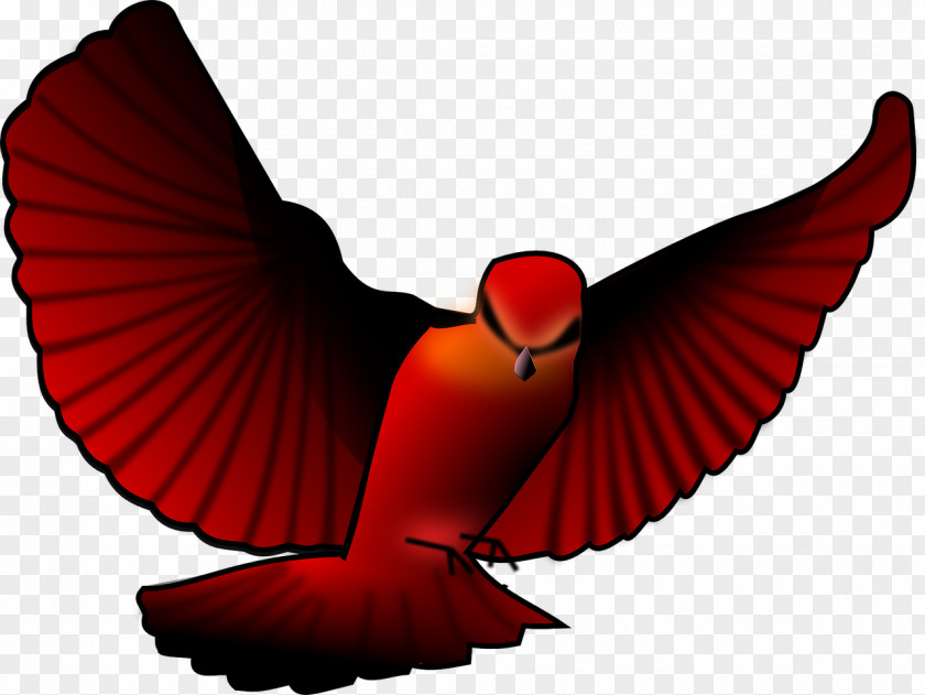Bird Clip Art Openclipart Northern Cardinal PNG