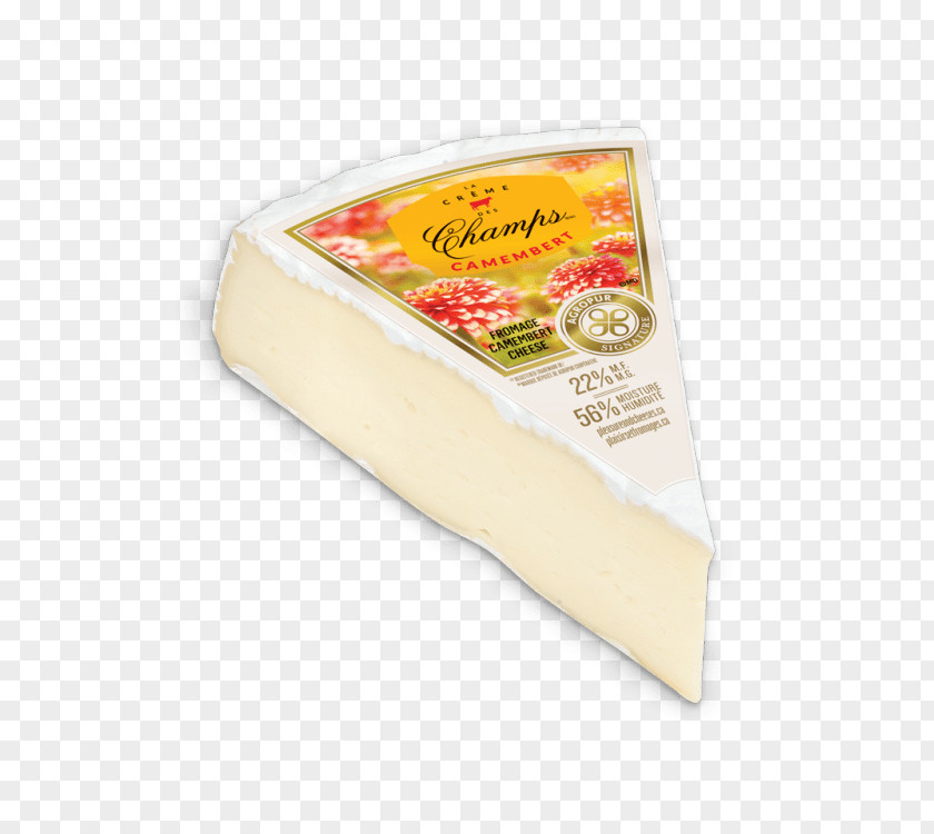 Cheese Processed Gruyère Montasio Beyaz Peynir Grana Padano PNG