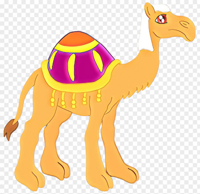 Dromedary Clip Art Bactrian Camel Terrestrial Animal PNG
