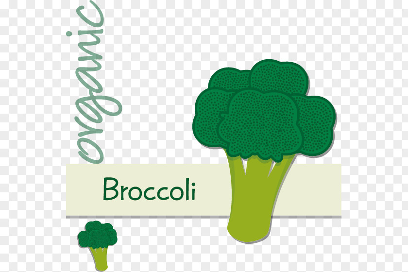 Hand-painted Cartoon Broccoli Label Graphic Design PNG