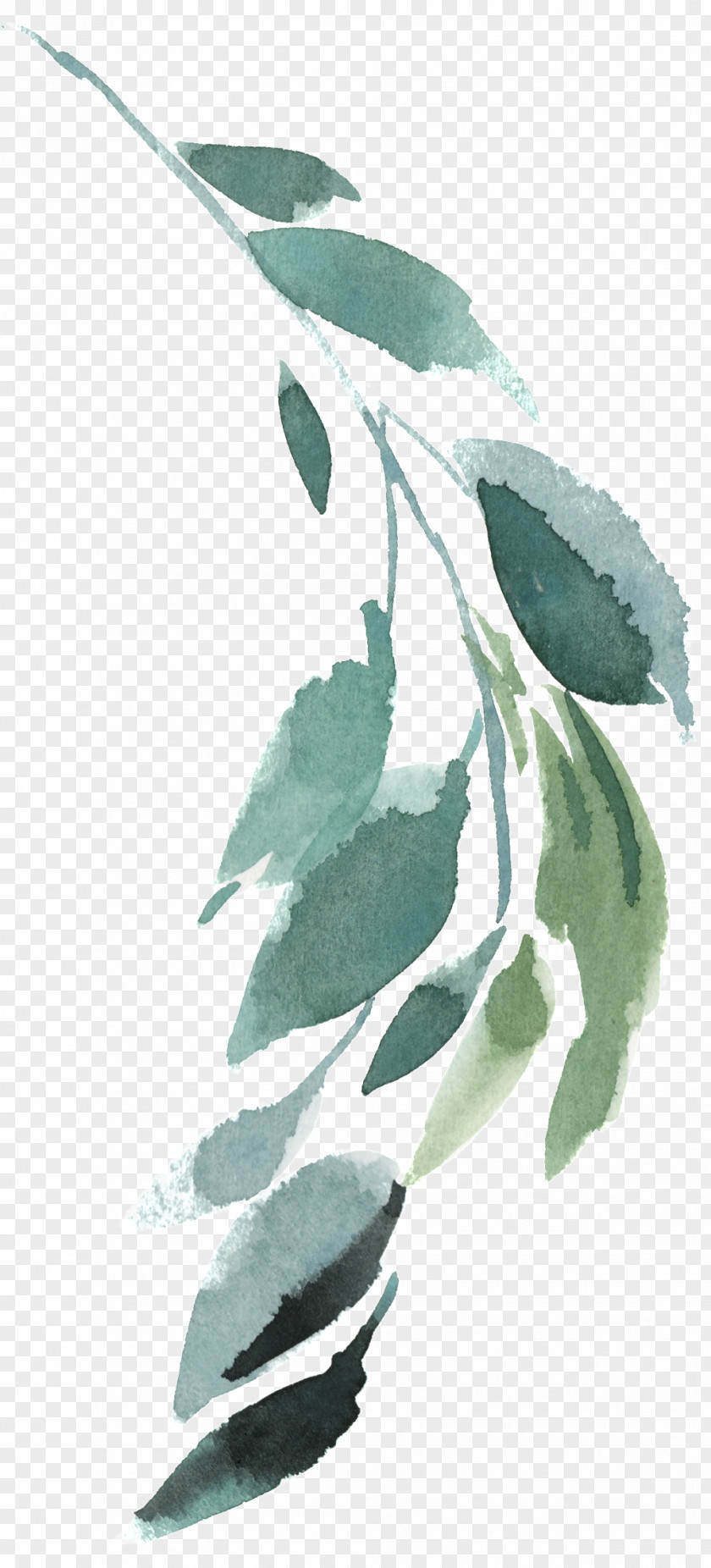 Leaf Twig Ink Plant Stem PNG