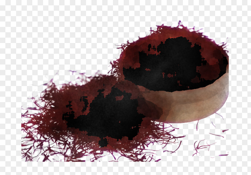 Plant Soil Red PNG