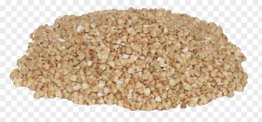 Porridge Kasha Buckwheat Grits Food PNG