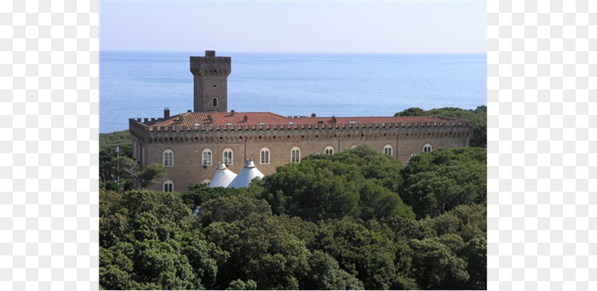 Castle Castello Pasquini Livorno School Palace PNG