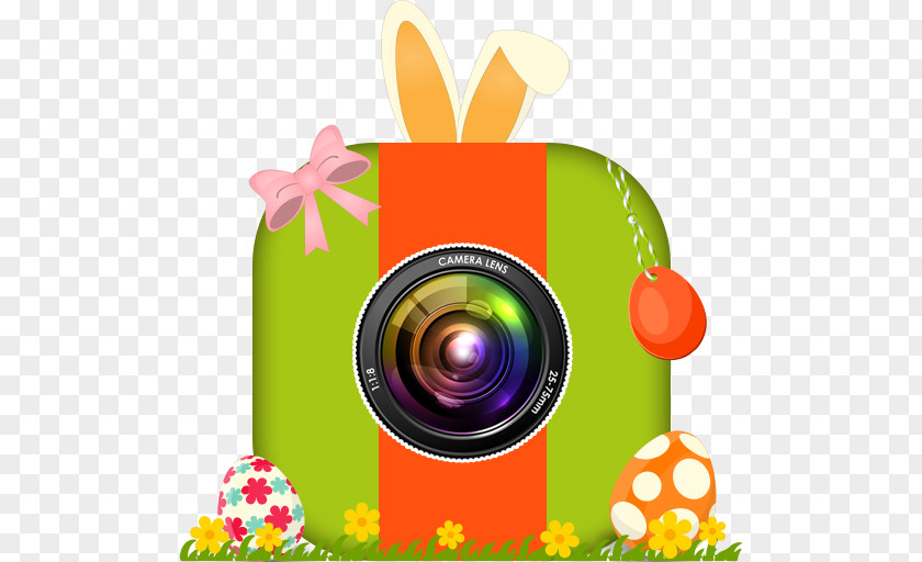 Easter Bunny Picture Frames PNG