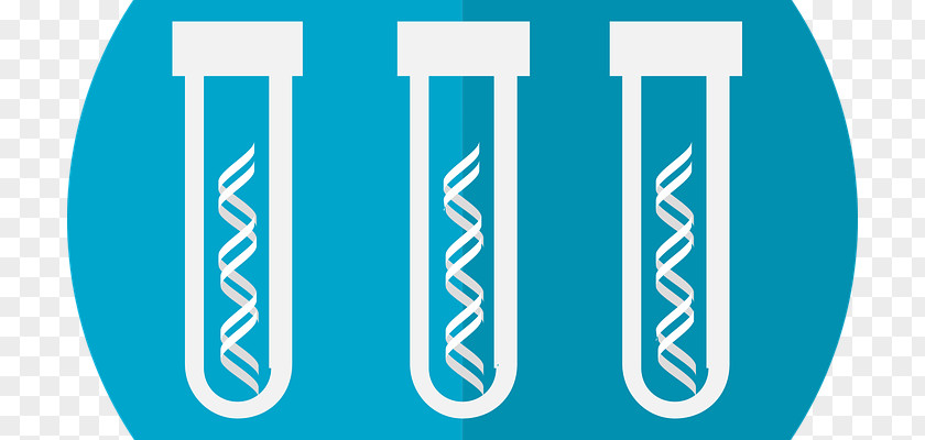 Genetic Testing Genetics Genealogical DNA Test Disorder PNG