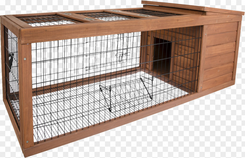 Guinea Pig Ferret Rodent Cage Pet PNG