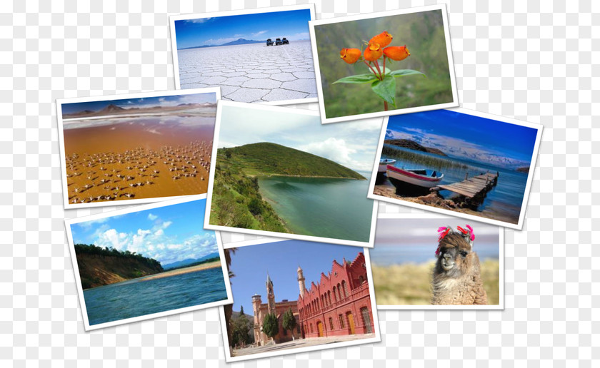 Vacation Sucre Leisure Tourism Collage PNG