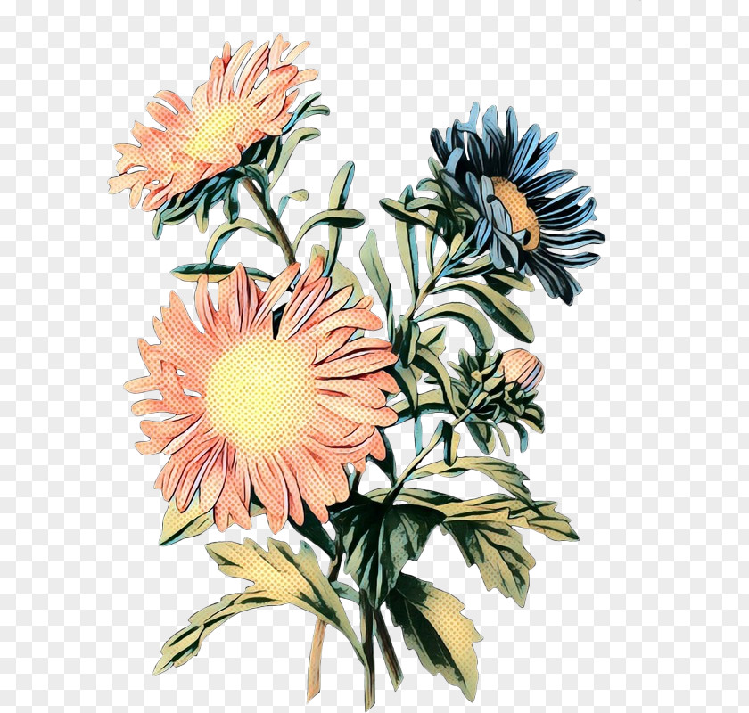 Floral Design Cut Flowers Chrysanthemum Transvaal Daisy PNG