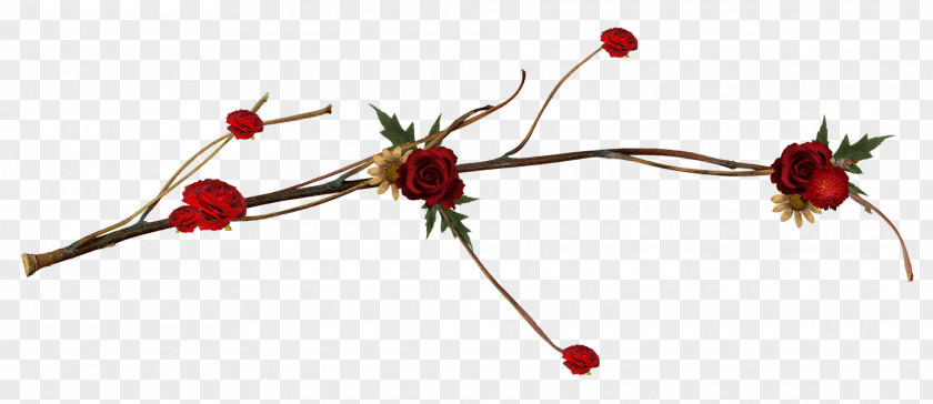 Flowers Wreath Cut Twig Rose Hip Plant Stem PNG