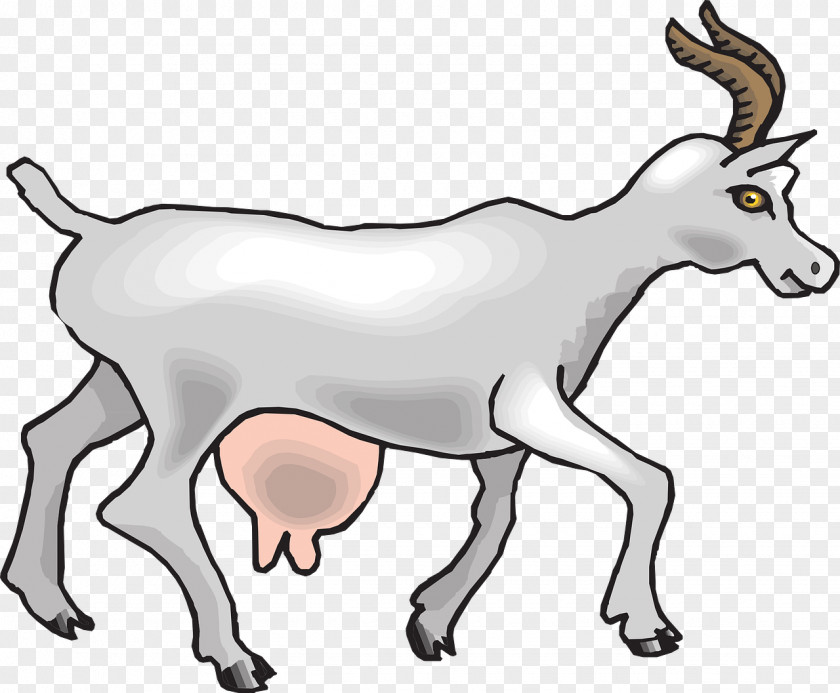 Goat Boer Cattle Animal Clip Art PNG