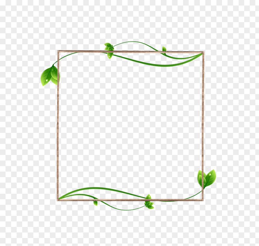 Green Leaves And Vines Surround IPhone 5s 6S AliExpress PNG