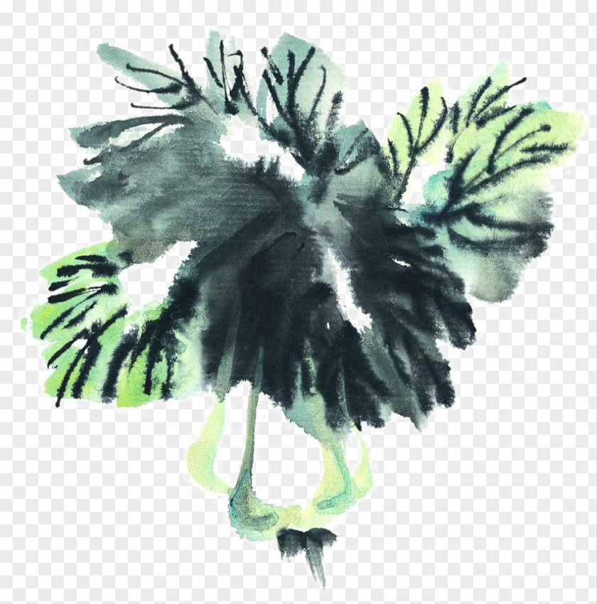 Painting Cabbage Ink Wash Chinese Inkstick Vegetable PNG