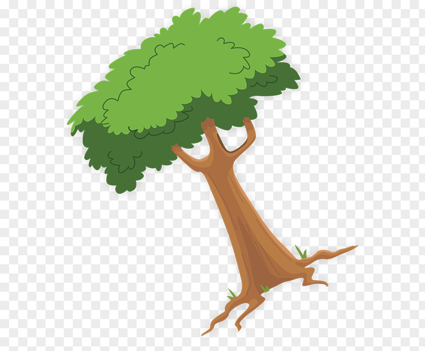 Art Oak Tree Leaf PNG