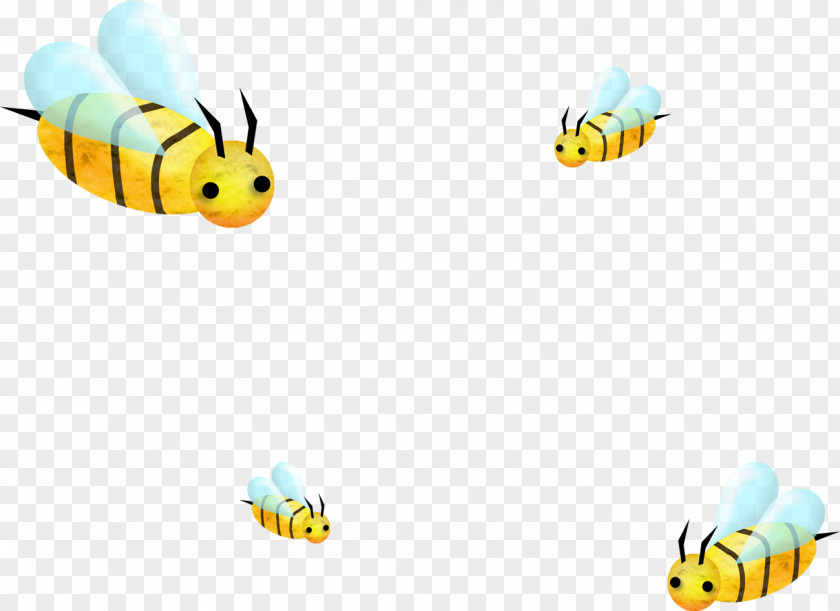 Bee Cartoon Illustration PNG